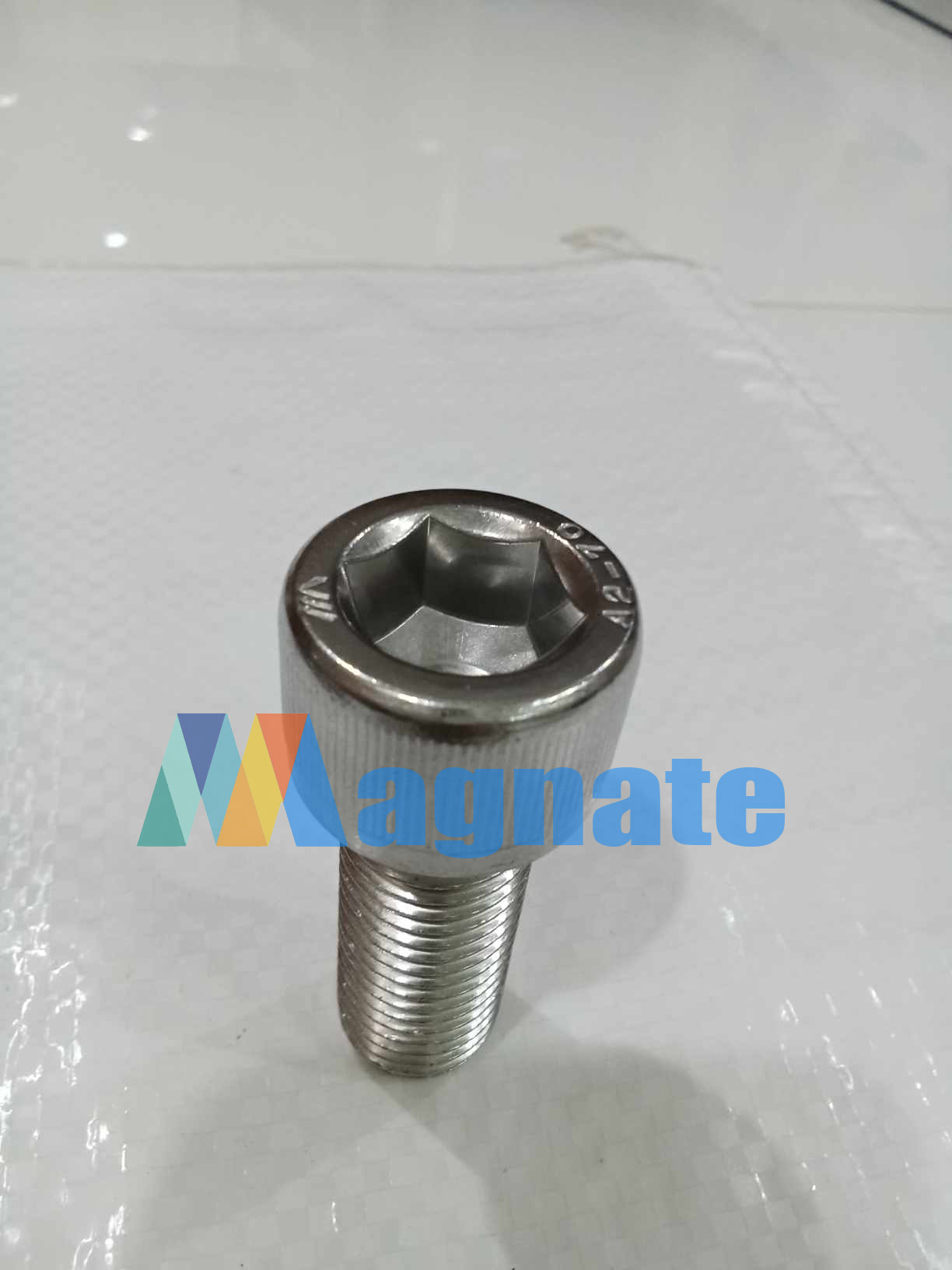 Allen Bolt M20 x 50 SS304